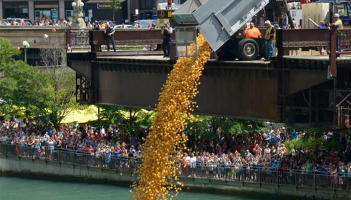 Rubber Ducks Poured Into The Chicago River